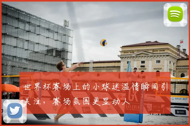 世界杯赛场上的小球迷温情瞬间引关注,赛场氛围更显动人