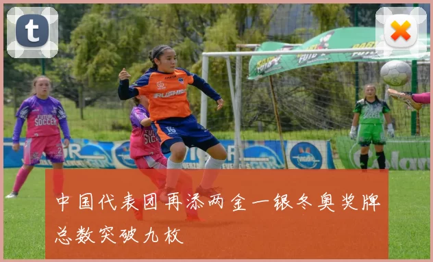 中国代表团再添两金一银冬奥奖牌总数突破九枚