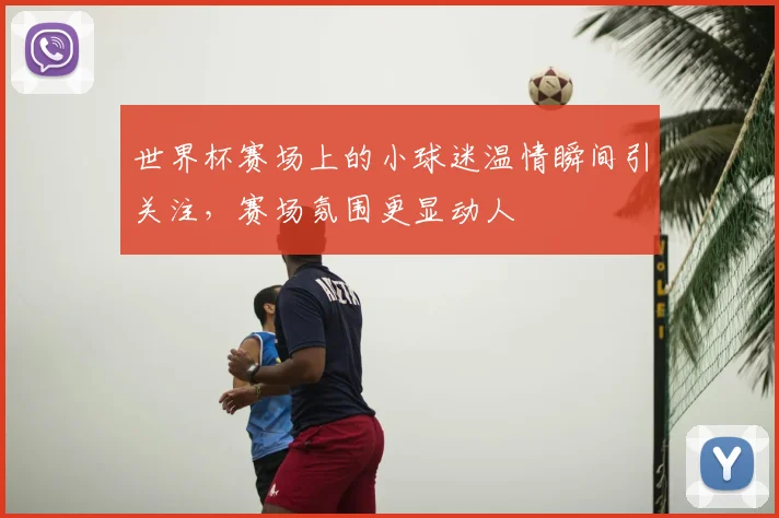 世界杯赛场上的小球迷温情瞬间引关注,赛场氛围更显动人