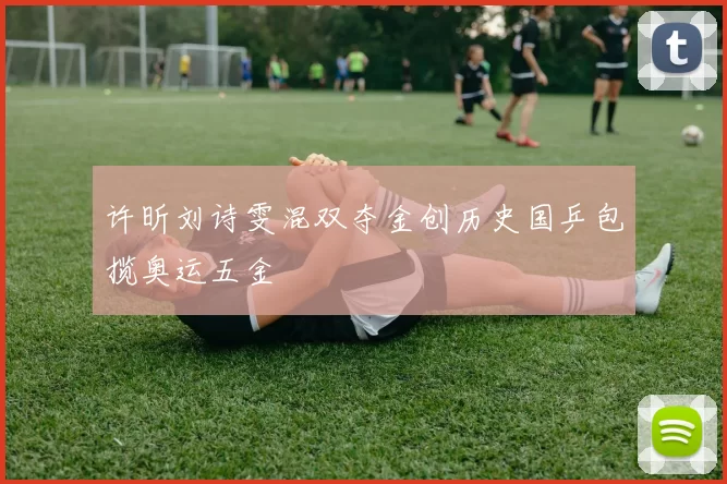 许昕刘诗雯混双夺金创历史国乒包揽奥运五金