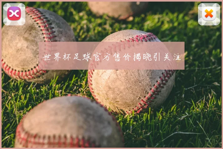 世界杯足球官方售价揭晓引关注