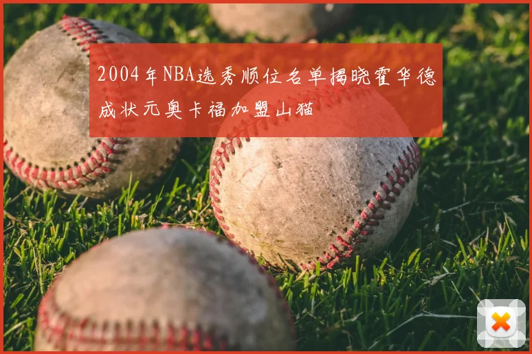 2004年NBA选秀顺位名单揭晓霍华德成状元奥卡福加盟山猫