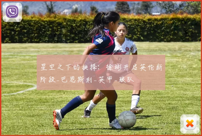星空之下的抉择：徐彬开启英伦新阶段_巴恩斯利_英甲_狼队