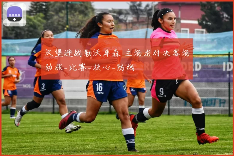 汉堡迎战勒沃库森 主场龙对决客场劲旅_比赛_核心_防线